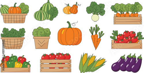 Fresh Vegetable Illustration Set with Pumpkin Broccoli Carrot Corn Tomato and Eggplant Isolated on White Background