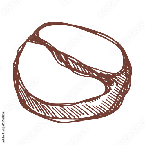 Hand drawn fresh roasted coffee bean Arabica robusta seed doodle Single element for print, web, design, decor