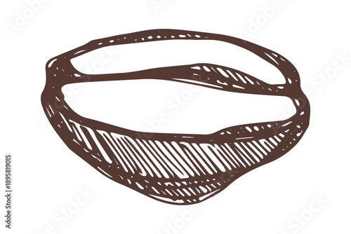 Hand drawn fresh roasted coffee bean Arabica robusta seed doodle Single element for print, web, design, decor