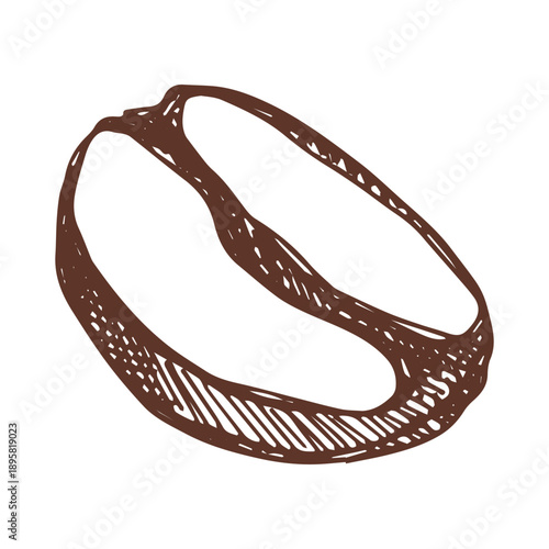 Hand drawn fresh roasted coffee bean Arabica robusta seed doodle Single element for print, web, design, decor