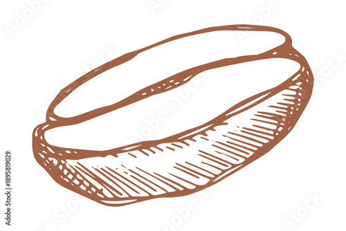 Hand drawn fresh roasted coffee bean Arabica robusta seed doodle Single element for print, web, design, decor
