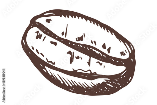 Hand drawn fresh roasted coffee bean Arabica robusta seed doodle Single element for print, web, design, decor