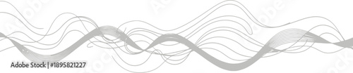 Elegant gray wavy lines on white background