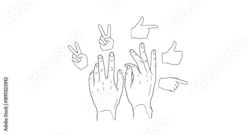Line art illustration of hands with various gestures and finger signs.