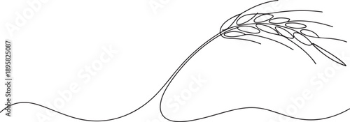 Continuous one line drawing of wheat. Barley or Rye outline vector illustration. one line Art icon drawing vector