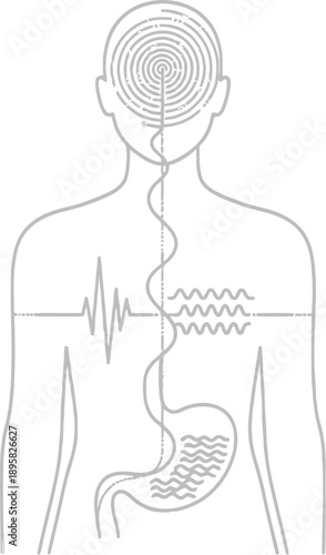 Human digestive system illustration showing brain gut connection