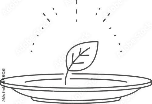 Single leaf floating in a bowl of water