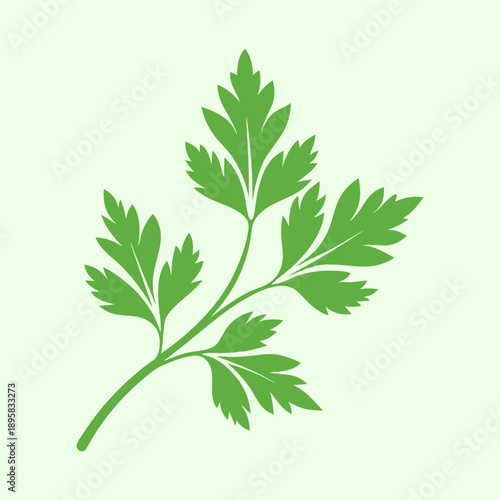 Vector illustration of a fresh and vibrant green parsley branch design