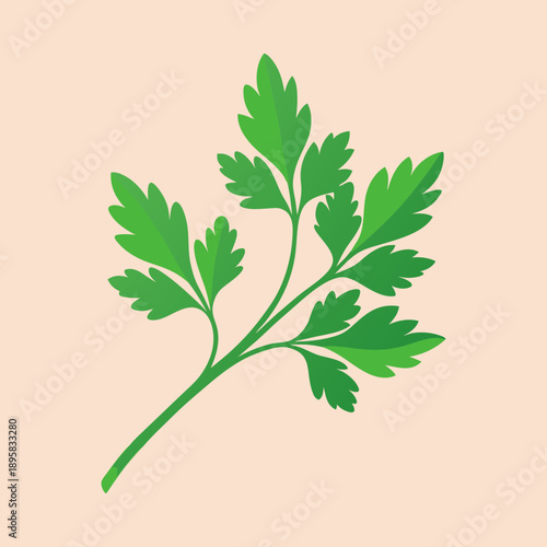 Isolated sprig of green parsley on a pastel background, illustration artwork