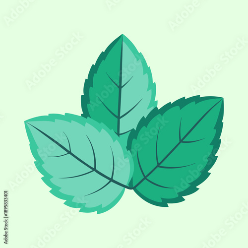 Three vibrant green leaves on a light green background, simple and appealing