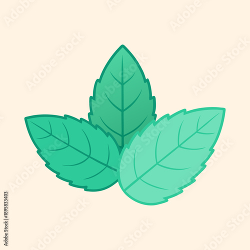 Fresh and vibrant mint leaves, a delightful addition to any beverage