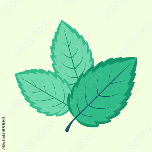 Three Fresh Green Mint Leaves on a Light Yellow Background Illustration