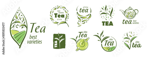 Ecofriendly green tea illustration set. Artisanal styled green tea branding symbols with watercolor textures and ecoconscious aesthetic
