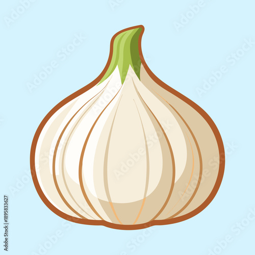 Illustrated garlic bulb with brown outline on a light blue background