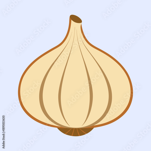 Simple digital illustration of a single garlic bulb on light blue background