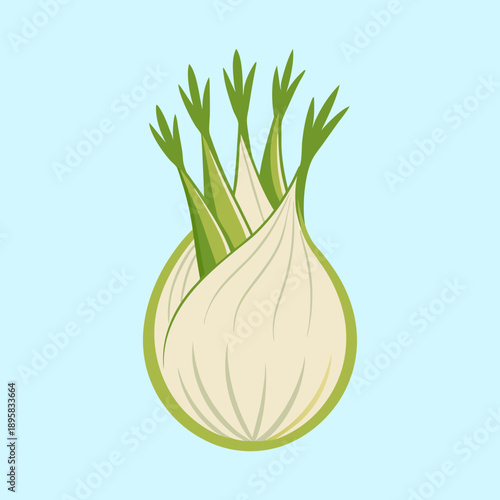 Minimalist fennel bulb illustration on a pastel blue background flat lay