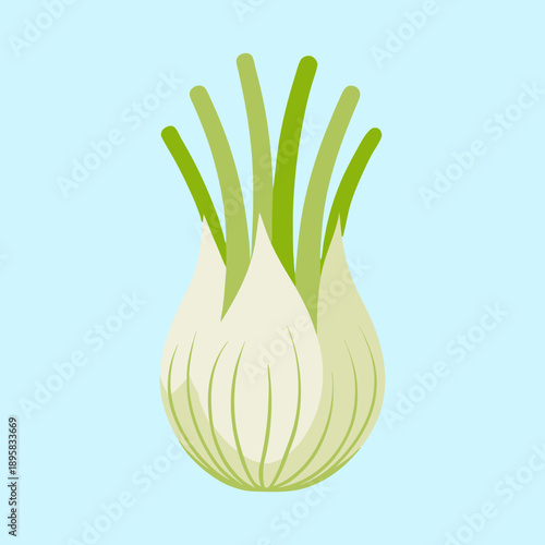 Cartoon image of a fennel bulb with green stalks on a light blue background
