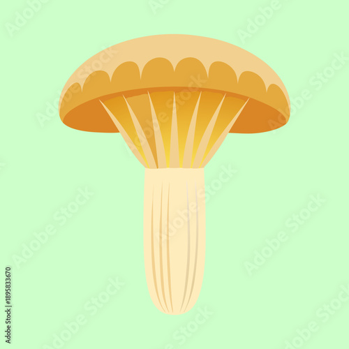 A cartoon illustration of a chanterelle mushroom on a light green background