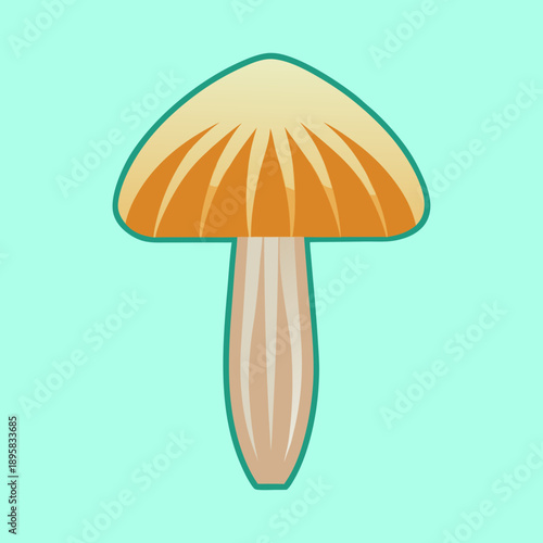 Cartoon Illustration of a Cream and Orange Mushroom with Teal Outline