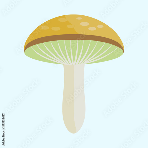 Illustration of a mushroom with a mustard cap and pale green gills