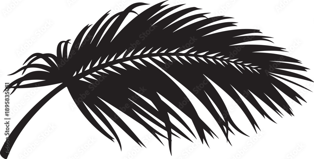 Fototapeta premium Black Silhouette of a Palm Tree Leaf on White