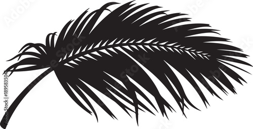Black Silhouette of a Palm Tree Leaf on White