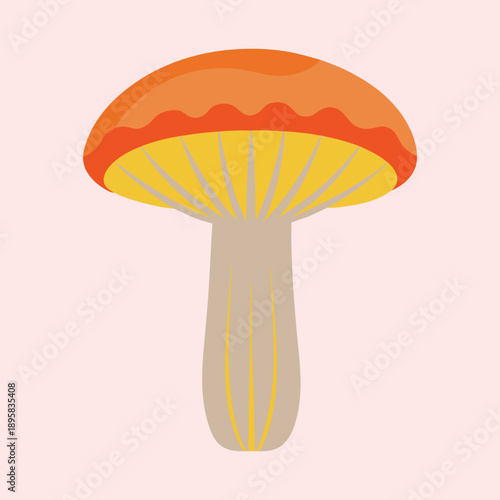 Illustration of a mushroom with a bright orange cap and tan stem