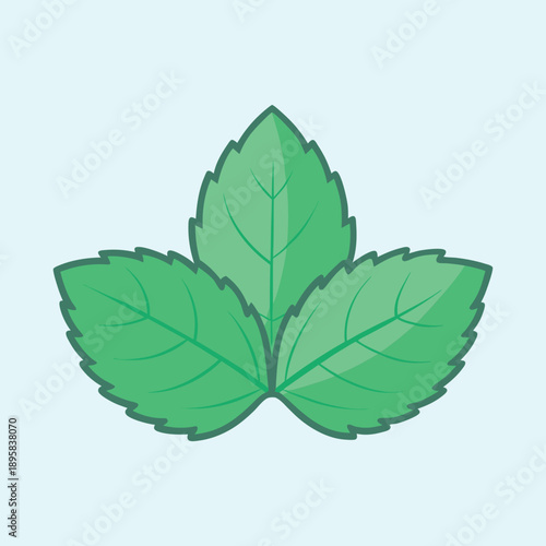 Vibrant Cartoon Style Green Mint Leaves on Light Blue Background Illustration