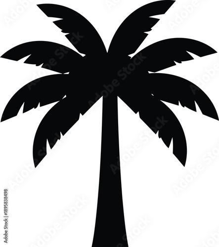 Tall tropical palm tree silhouette with large fronds, symbolizing paradise, vacation, summer, and exotic beach destinations