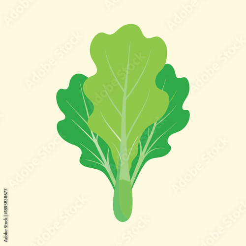 Illustration of bok choy on a light yellow background in flat style
