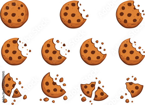 Chocolate chip cookie breaking and eating stages vector set showing whole bitten cracked pieces with crumbs