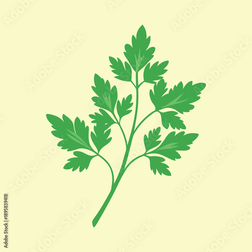 Isolated flat vector illustration of a green parsley sprig against a beige background