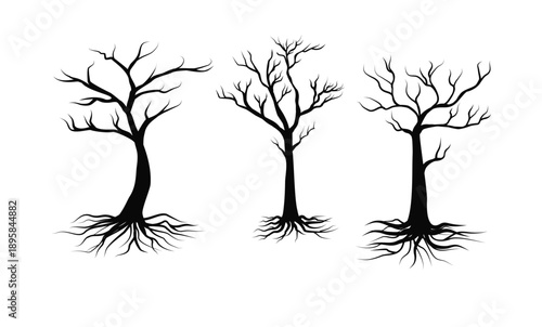 tree silhouette vector, tattoo logo cypress template design, tree pine silhouette vector, isolated on white background.