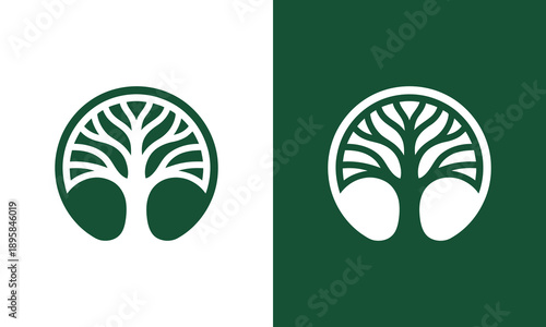 Abstract oak tree logo design concept vector template illustration with Line style symbol graphic icon