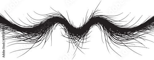 Close-up of long black eyelashes on white background isolated