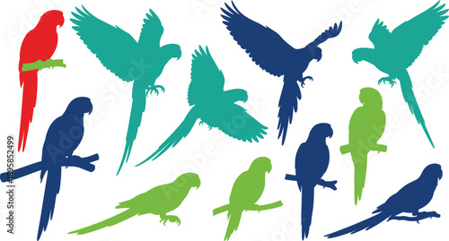 Colorful Parrot Silhouette Vector Set with Tropical Birds in Flying and Perching Poses for Wildlife, Nature, and Decorative Graphic Designs