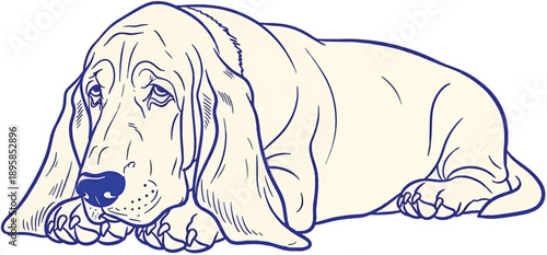 Minimalist blue line art illustration of a Basset Hound resting, simple pet sketch for logo and branding design isolated on white background.
