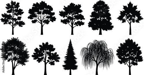 Black tree silhouettes collection isolated on white background, various forest and garden tree species for nature design illustration