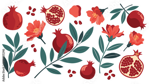 Detailed collection of red pomegranates, seeds, and blossoms with green leaves arranged in a beautiful botanical set.