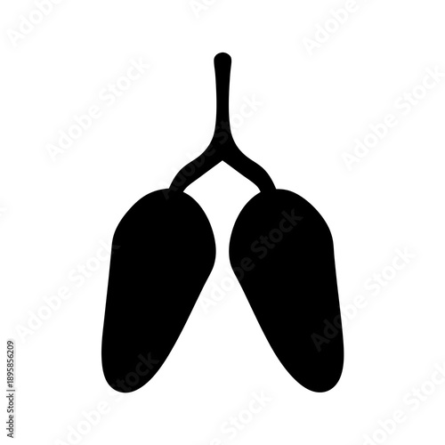 Human lungs anatomical drawing in black silhouette isolated on white background