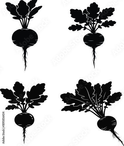 Set of organic radish silhouettes featuring long taproots and lush leafy tops, ideal for botanical and garden designs