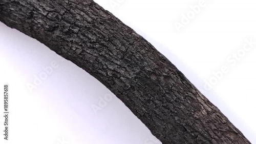 The video shows the production of charcoal from tamarind wood.	