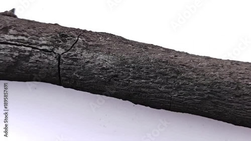 The video shows the production of charcoal from tamarind wood.	