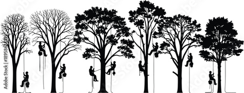 Silhouette arborists climbing tall trees, professional tree care illustration, rope access workers, forestry service, nature maintenance, black vector collection 
