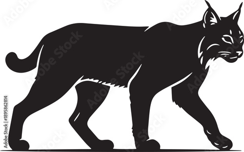 Bobcat silhouette vector