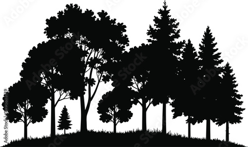 Forest tree silhouette landscape featuring mixed woodland with tall conifer and deciduous trees on natural ground isolated background