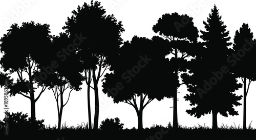 Forest silhouette landscape with mixed deciduous and conifer trees forming dense woodland scene isolated on white background