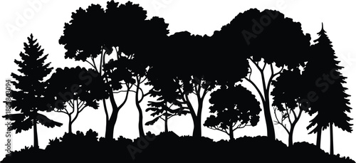 Forest tree silhouette landscape with mixed woodland canopy, conifer and deciduous trees, natural scenery illustration on white background