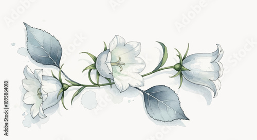 Celebrating with White Butterflies and Black-White Flowers Over a Red Background, Golden Accents – Digital Illustration