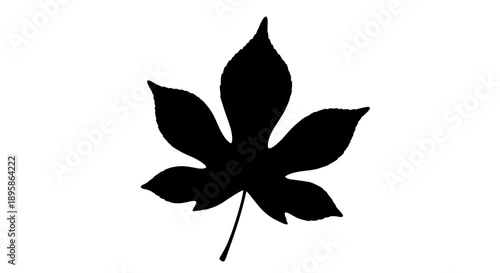 Dark black silhouette of a single detailed tree leaf with multiple points set against a clean white background for nature design.